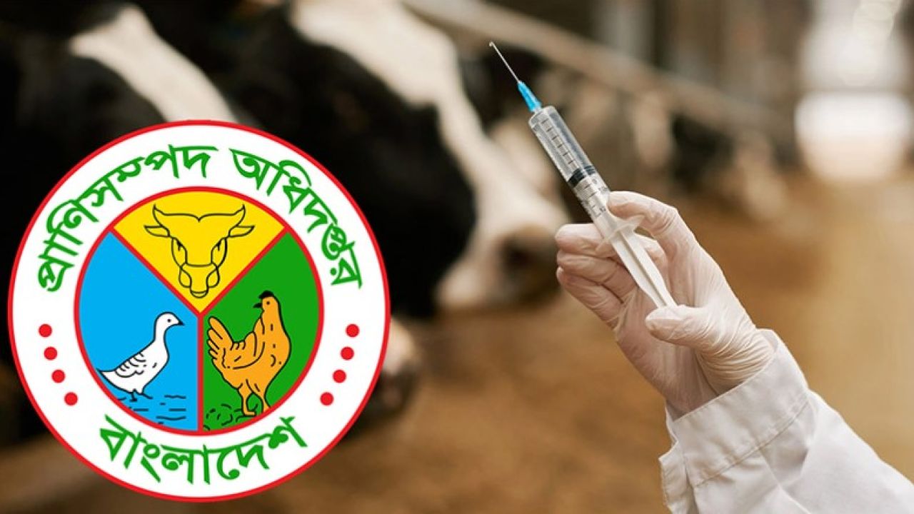 গবাদি পশুর ভ্যাকসিনে বাড়তি টাকা নেয়ার অভিযোগ সুরাহা করুন