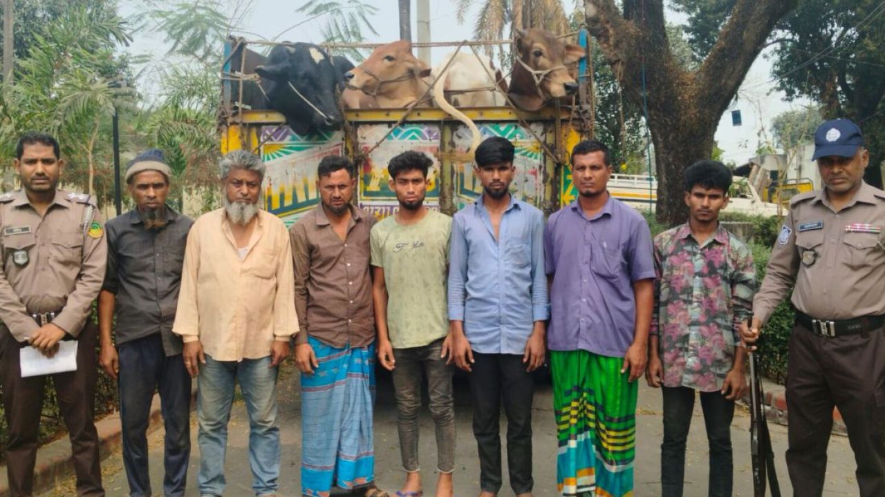 ডাকাতির আধা ঘণ্টার মধ্যেই ট্রাকসহ ১৯ গরু উদ্ধার