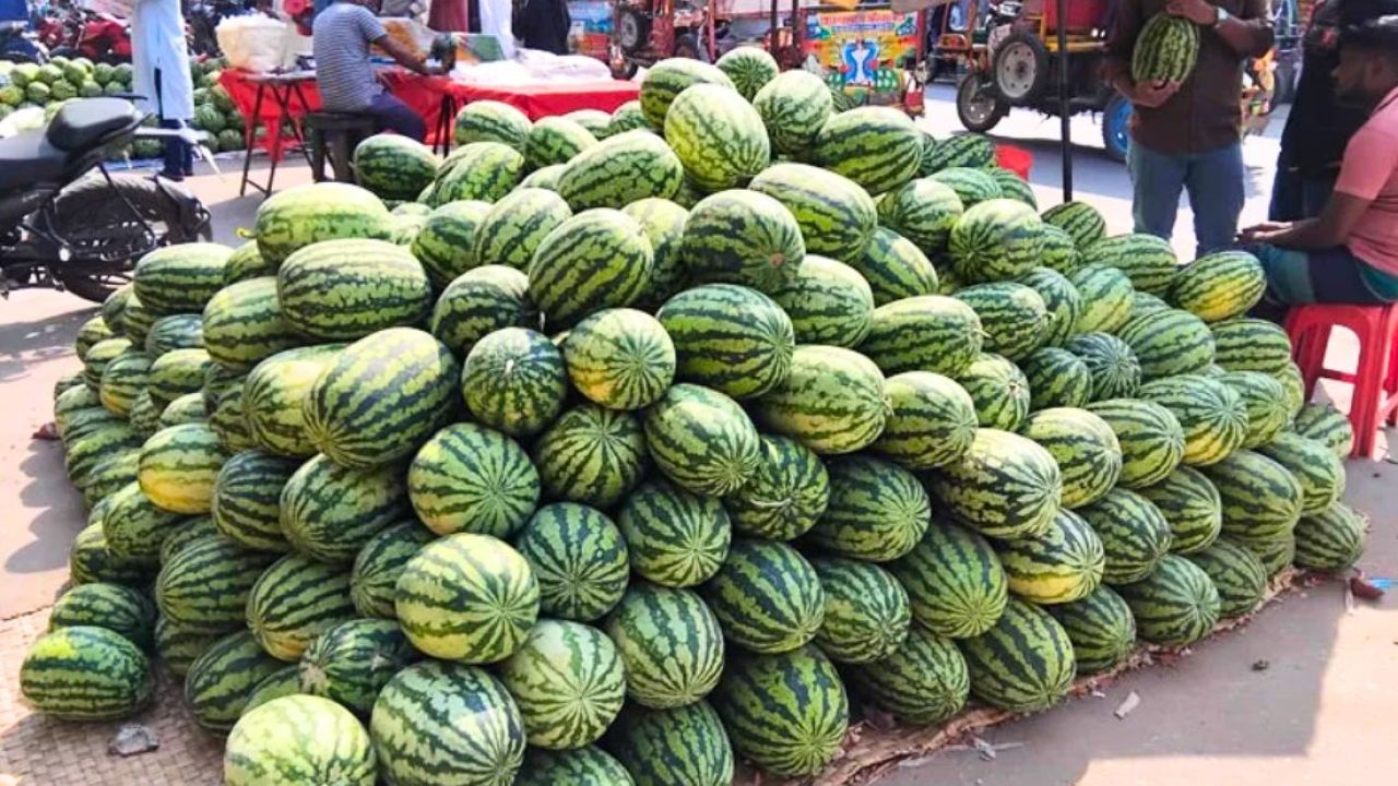তরমুজের বাড়তি দামে ক্রেতার নাভিশ্বাস