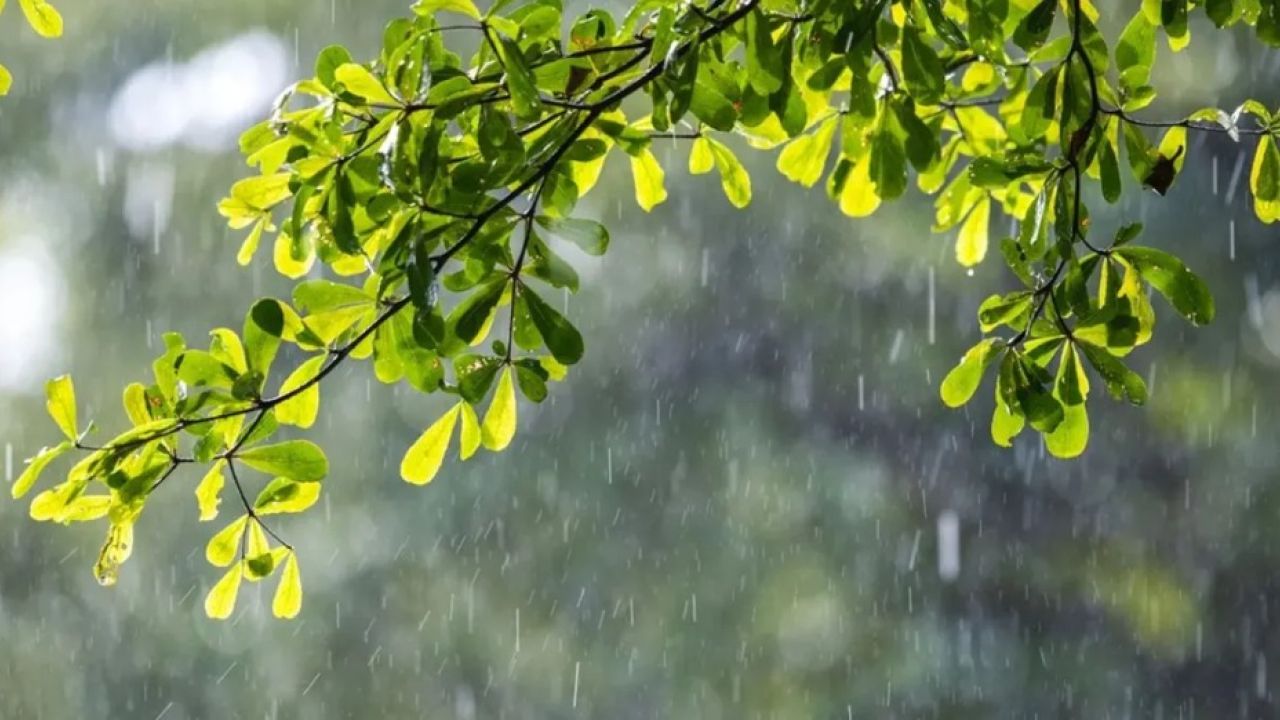 ঢাকায় হালকা বৃষ্টির সম্ভাবনা