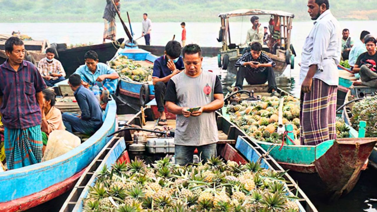 আনারসের দাম অর্ধেক, লোকসানের শঙ্কায় ব্যবসায়ীরা