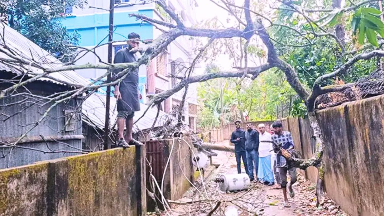 মৌলভীবাজারে কালবৈশাখি ঝড়ে বিদ্যুতের লাইনে ব্যাপক ক্ষতি