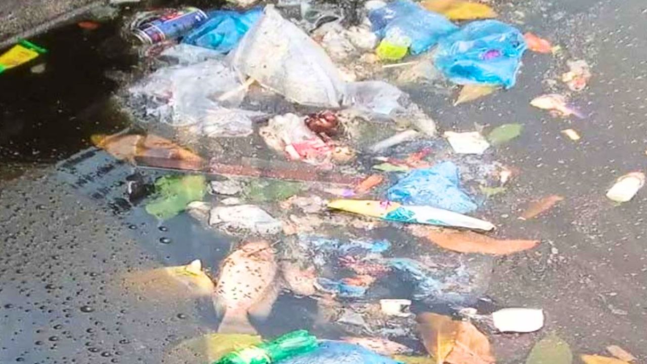 অবহেলা-অব্যবস্থাপনায় বরগুনার নাথপট্টি লেক এখন আবর্জনার ভাগাড়