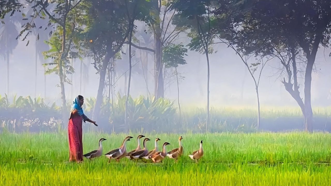 ঈদের ছুটি ও গাঁয়ের মায়া