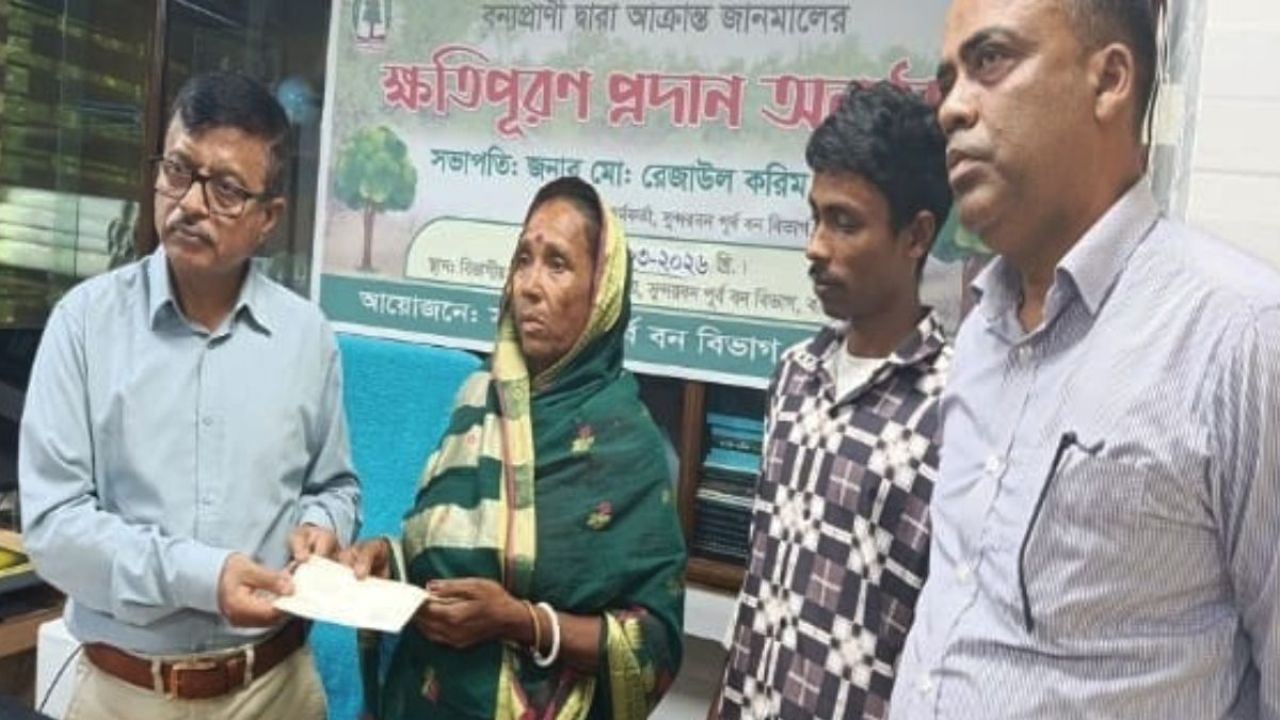 কুমিরের আক্রমণে প্রাণ গেল বনজীবীর, পরিবার পেল আর্থিক সহায়তা