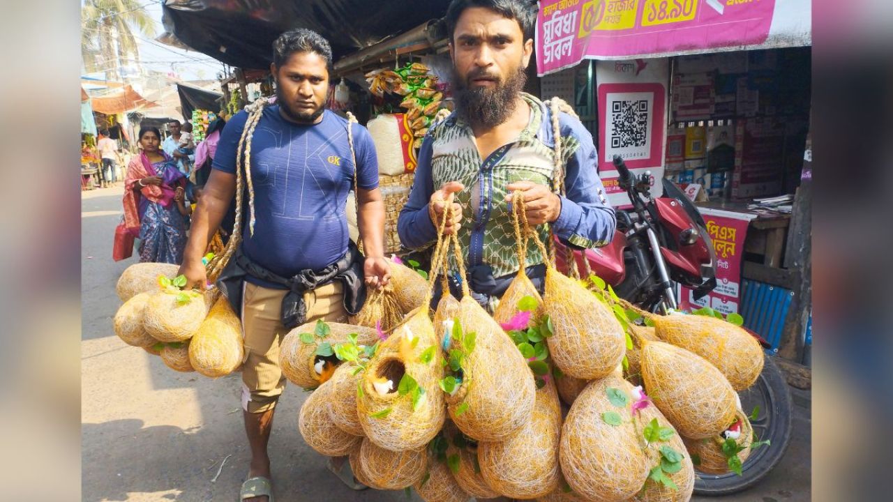 হাতে তৈরি আকর্ষণীয় পাখির বাসার কদর বাড়ছে
