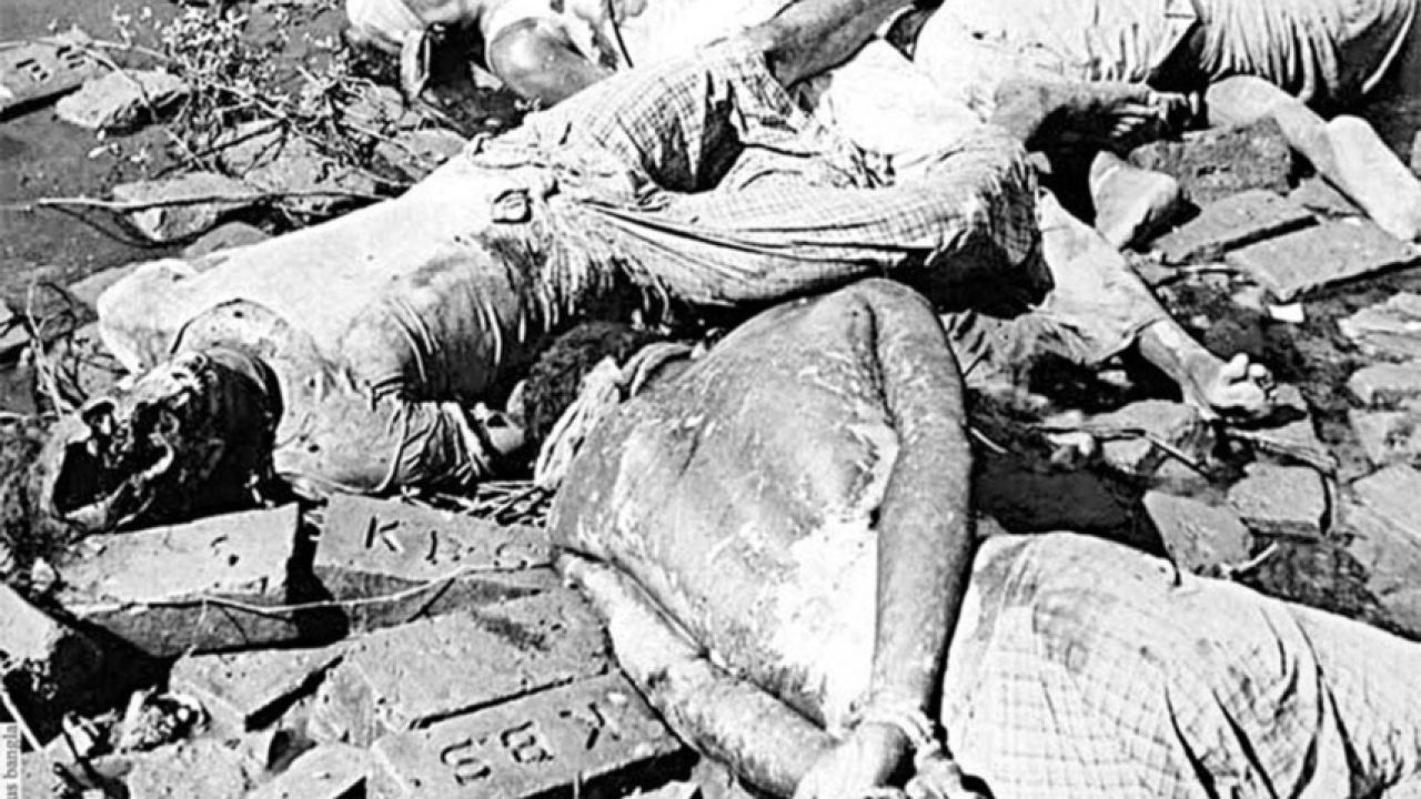 ১৯৭১-এর হত্যাযজ্ঞকে ‘গণহত্যা’ স্বীকৃতির দাবিতে মার্কিন কংগ্রেসে প্রস্তাব