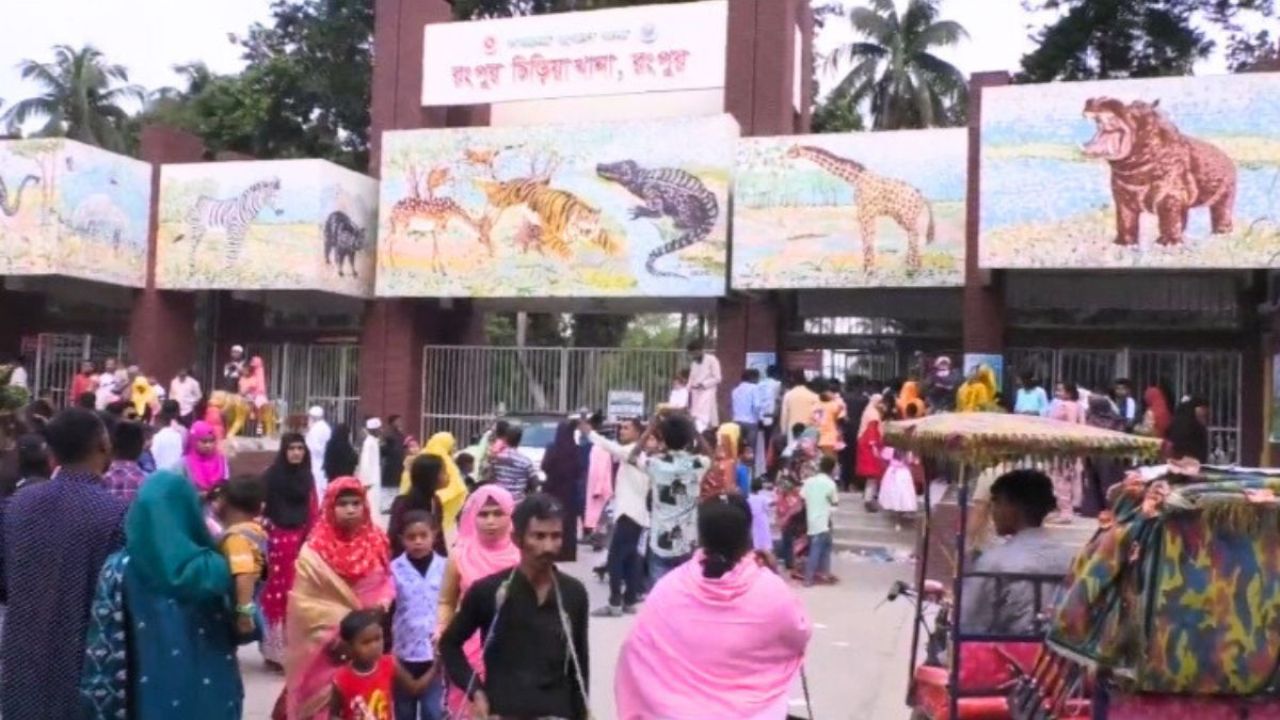 রংপুর চিড়িয়াখানায় দর্শকের উপচে পড়া ভিড়