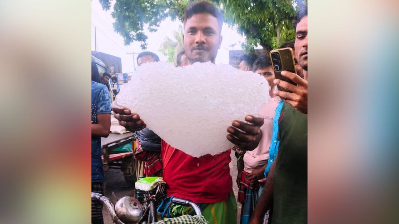 ঝিনাইদহের ক্ষেতে ‘১ মণ’ ওজনের শিলা, হতবাক স্থানীয়রা