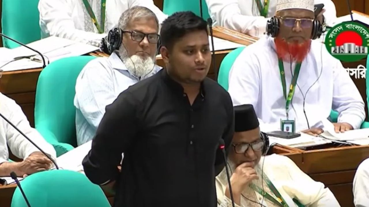 সংসদে ভুল স্বীকার করলেন হাসনাত আবদুল্লাহ