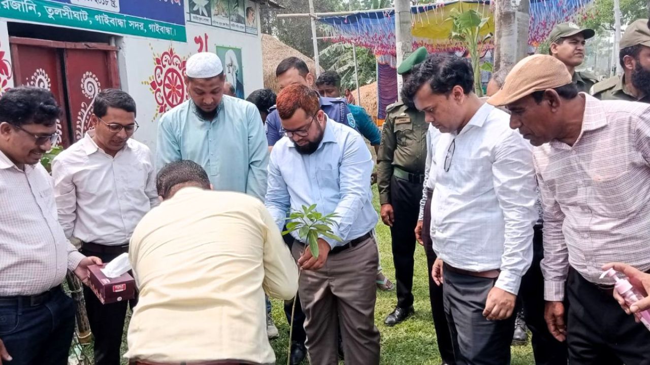 পলাশবাড়ী-গাইবান্ধা মহাসড়কে বৃক্ষরোপণ কর্মসূচির উদ্বোধন