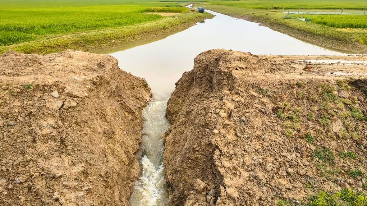 সুরক্ষাবাঁধই এখন গলার কাঁটা, তলিয়ে যাচ্ছে ফসল