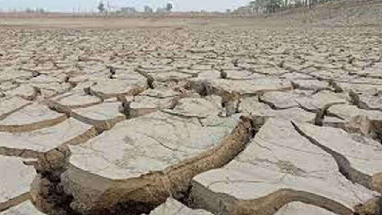 বরেন্দ্রের খরা: সংকটে কৃষি