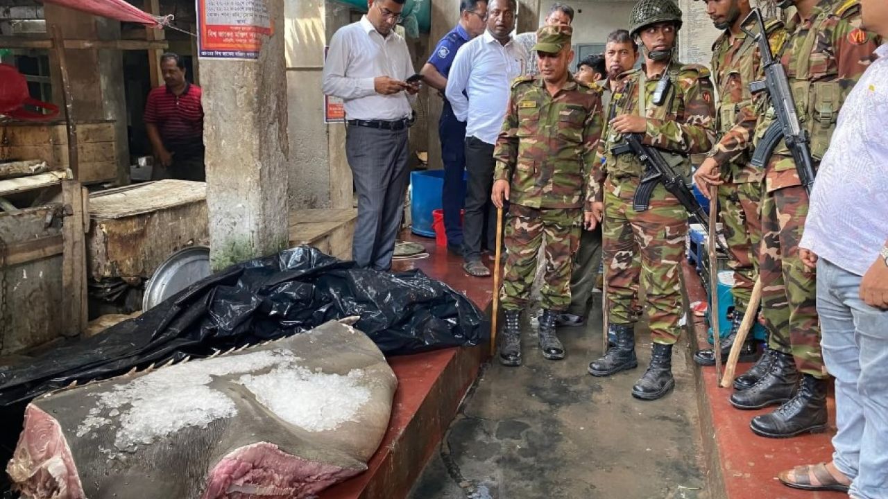 বিপন্নপ্রায় ‘দানব’ মাছ বেচতে মাইকিং, পরে মাটিচাপা