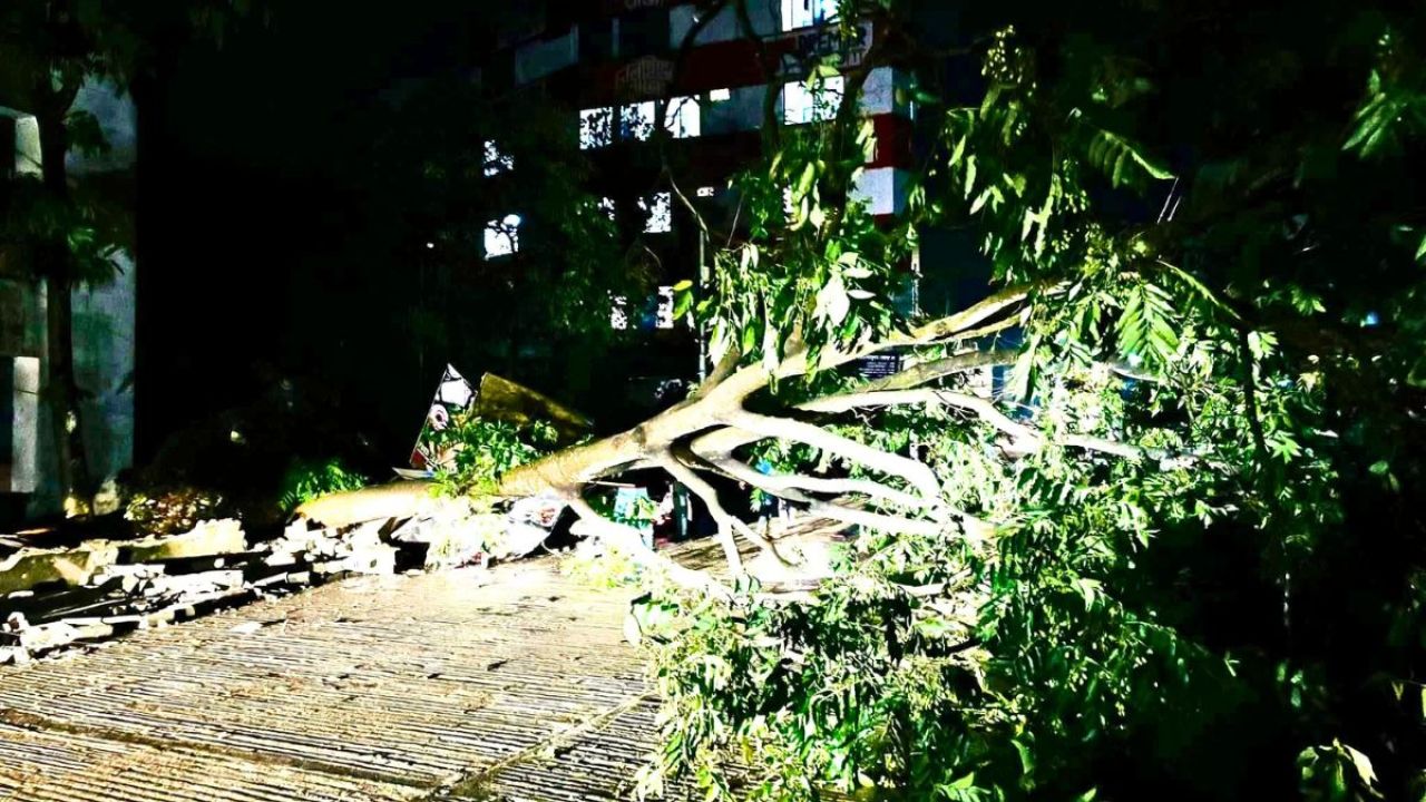 ১০ মিনিটের ঝড়ে লণ্ডভণ্ড ঘরবাড়ি ও গাছপালা