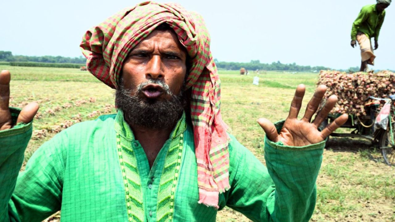 ষাঁড় বেচে পেঁয়াজ চাষ, এখন বাছুর কেনার টাকাও নেই