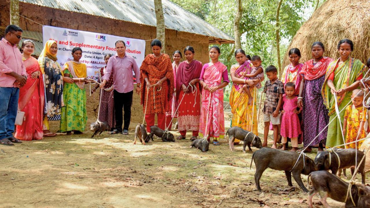 সাঁওতালদের জীবনমান উন্নয়নে শুকর বিতরণ