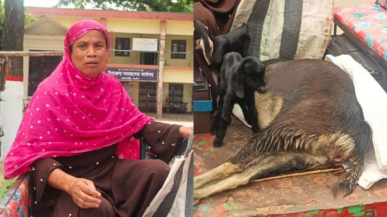 মরা ছাগল নিয়ে ইউএনও কার্যালয়ে গৃহবধূ