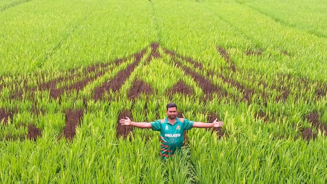 কুড়িগ্রামে সবুজ মাঠে জ্বলজ্বল করছে জাতীয় স্মৃতিসৌধ