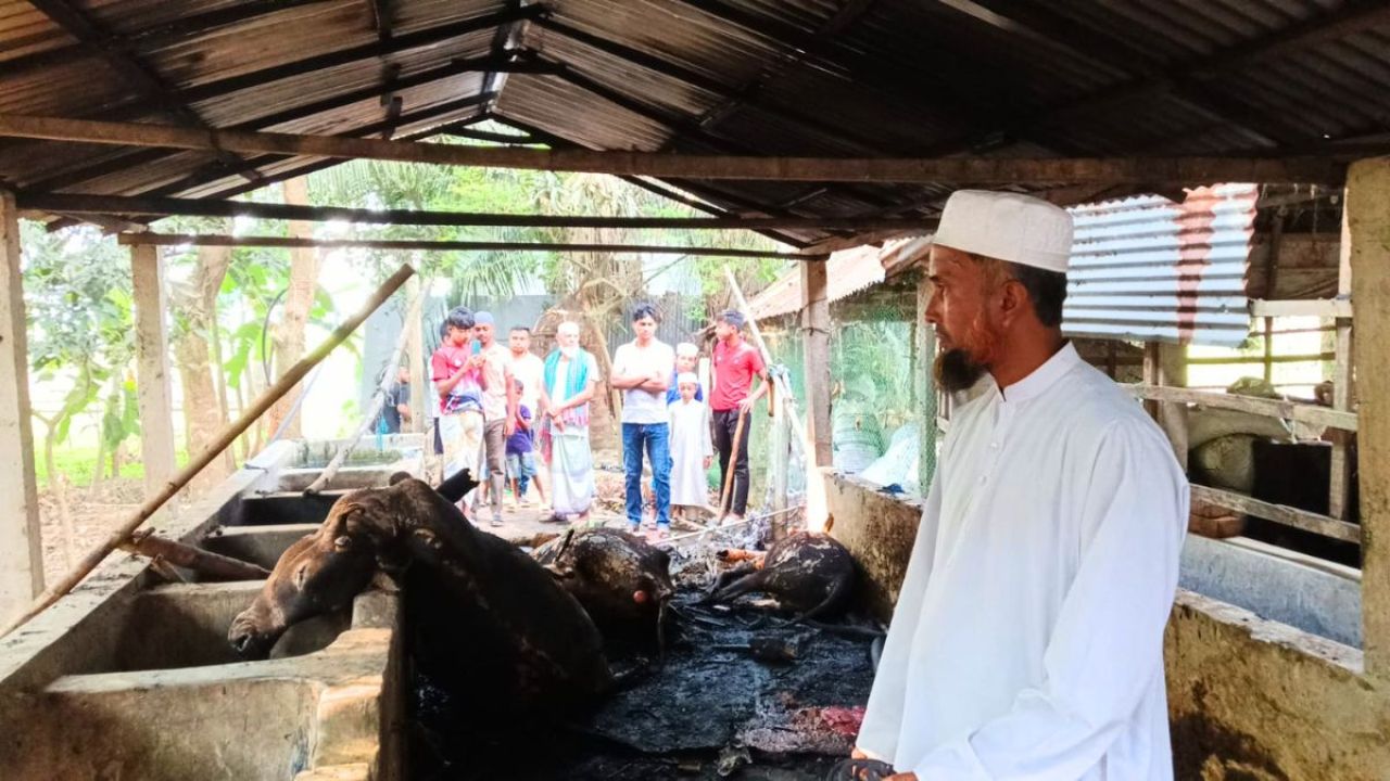 এক রাতের আগুনে শেষ অহিদুল আলমের বহু বছরের স্বপ্ন