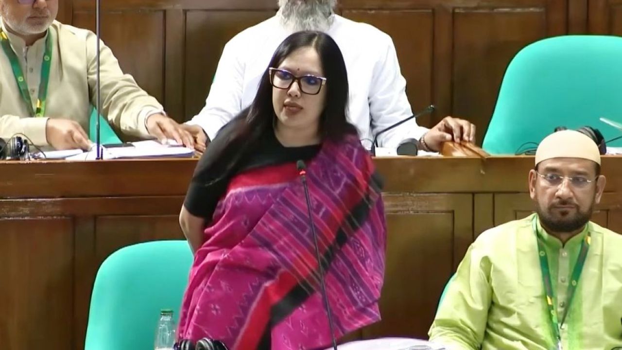 গভর্ণর ও ভিসি নিয়োগে ‘দলীয়করণের’ সমালোচনায় রুমিন