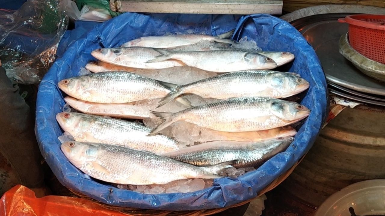 বৈশাখ আসতেই বাজারে ইলিশের দাম আকাশচুম্বী