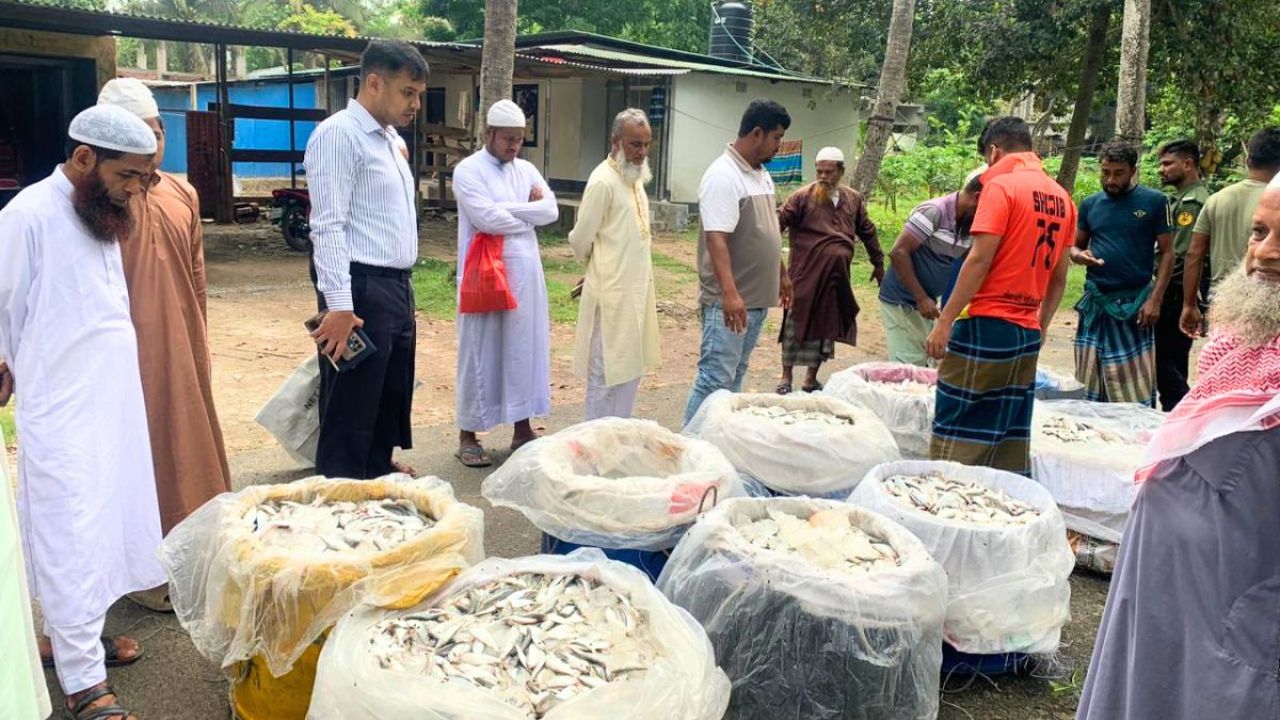 কালকিনিতে ২৭ মণ জাটকা জব্দ, বিতরণ করা হলো এতিমখানায়