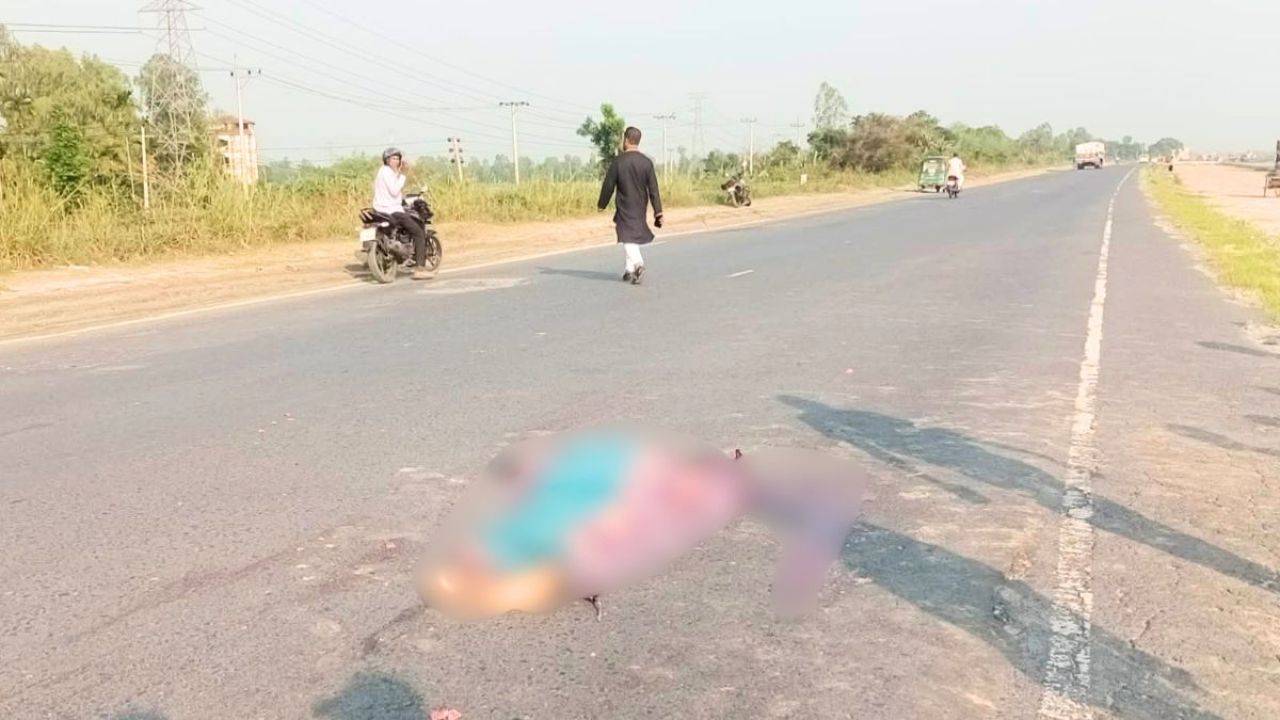 ভ্যান নিয়ে বাড়ি ফেরা হলো না স্বপনের, মহাসড়কে ঝরল প্রাণ