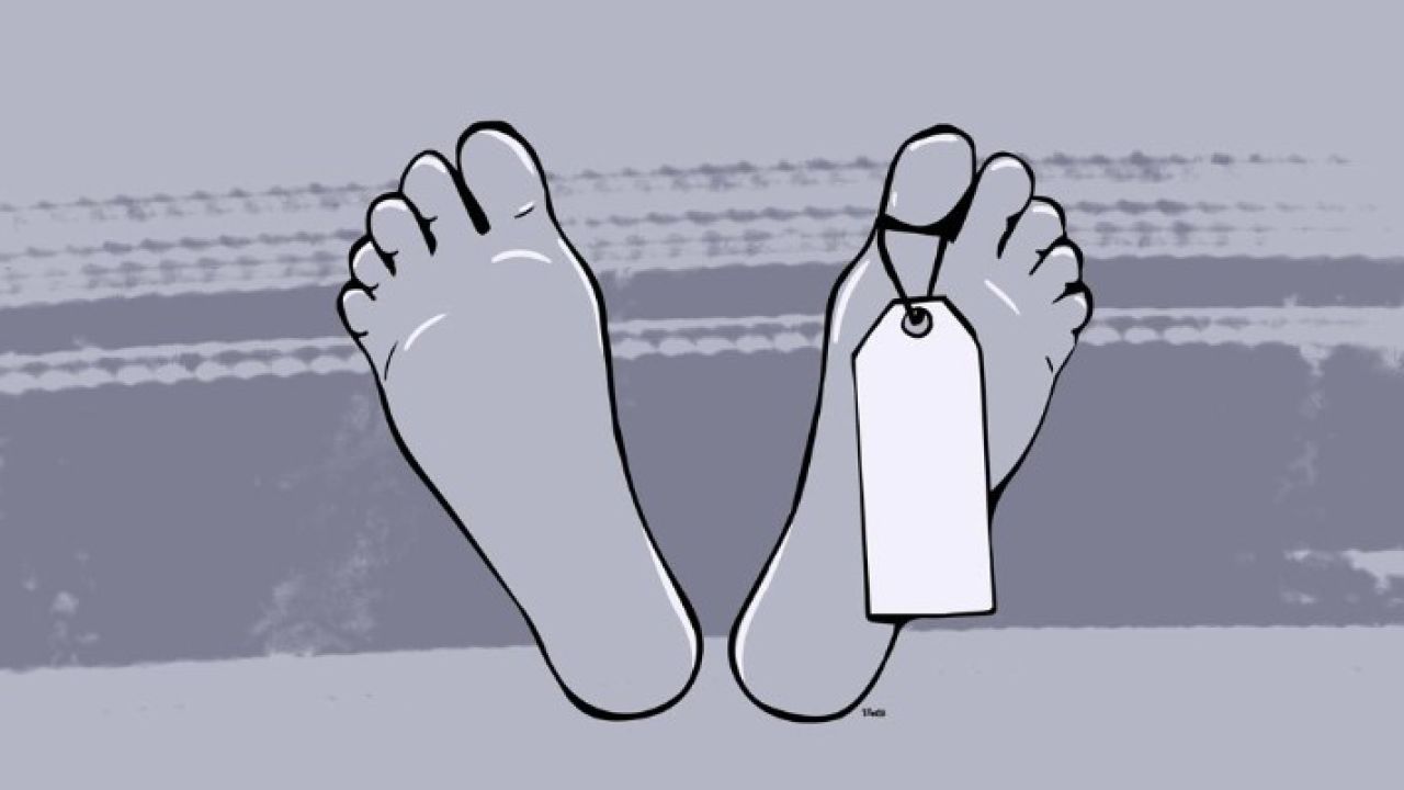 রাস্তার পাশেই ভ্যান, জ্বলছে লাইট, ধানক্ষেতে মরদেহ