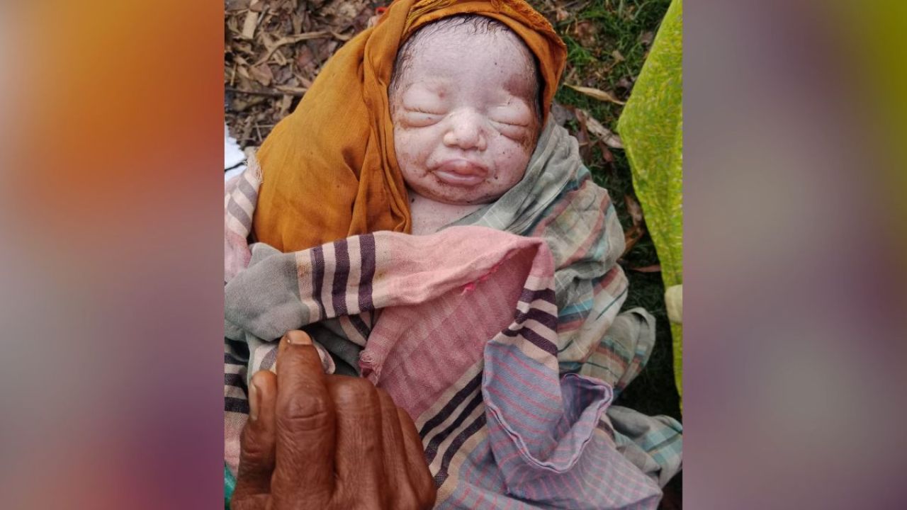 সড়কের পাশে ঝোপ থেকে নবজাতক উদ্ধার, নিতে চান নিঃসন্তান দম্পতি