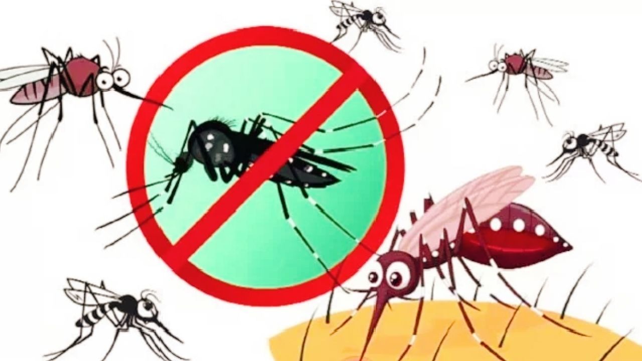 “পড়াশোনা বাদ দিয়ে এখন মশা মারাই প্রধান কাজ