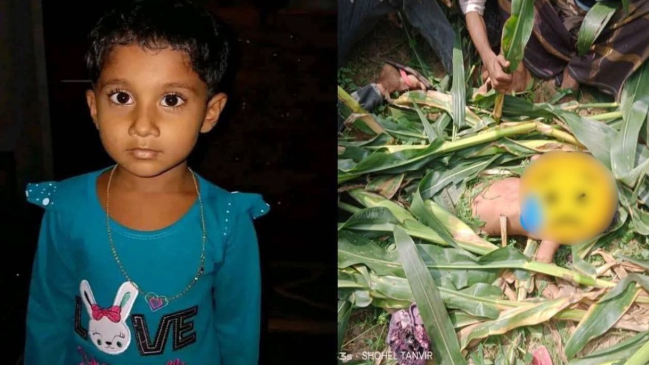 নিখোঁজের একদিন পর ভুট্টাক্ষেতে মিলল শিশুর মরদেহ