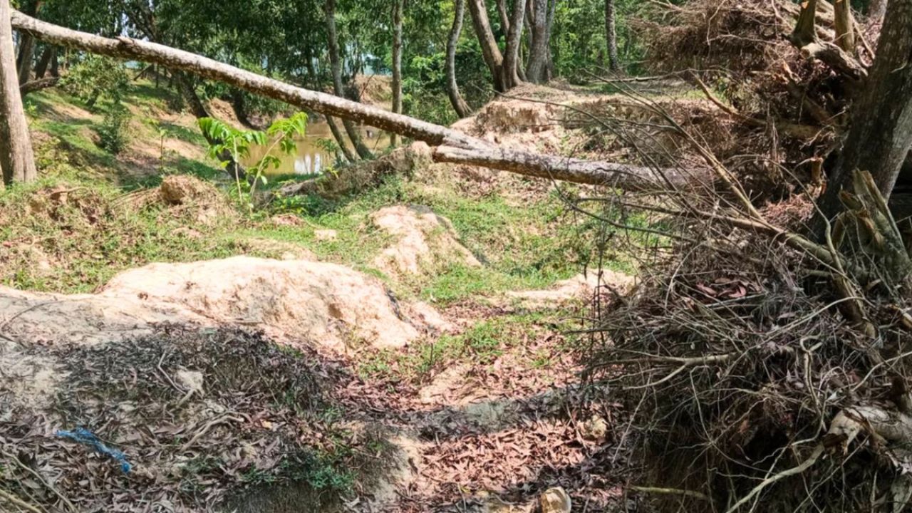 পরশুরামে দুই বছরেও মেরামত হয়নি বেড়িবাঁধের ৪২টি ভাঙন