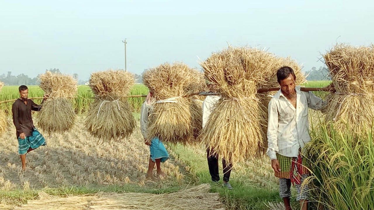 বৈশাখ, কৃষি ও বাংলার পরিবর্তিত সময়চিত্র