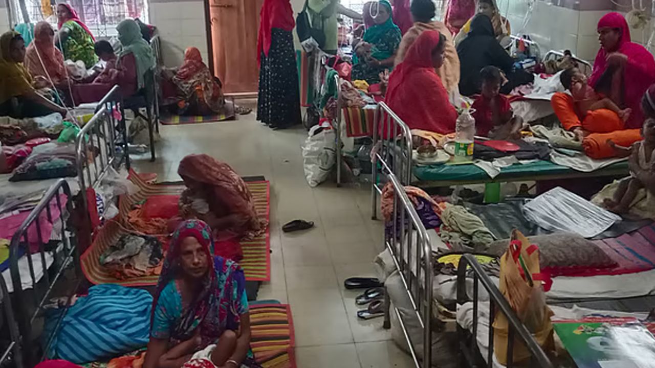 হামে আরও ১০ জনের মৃত্যু