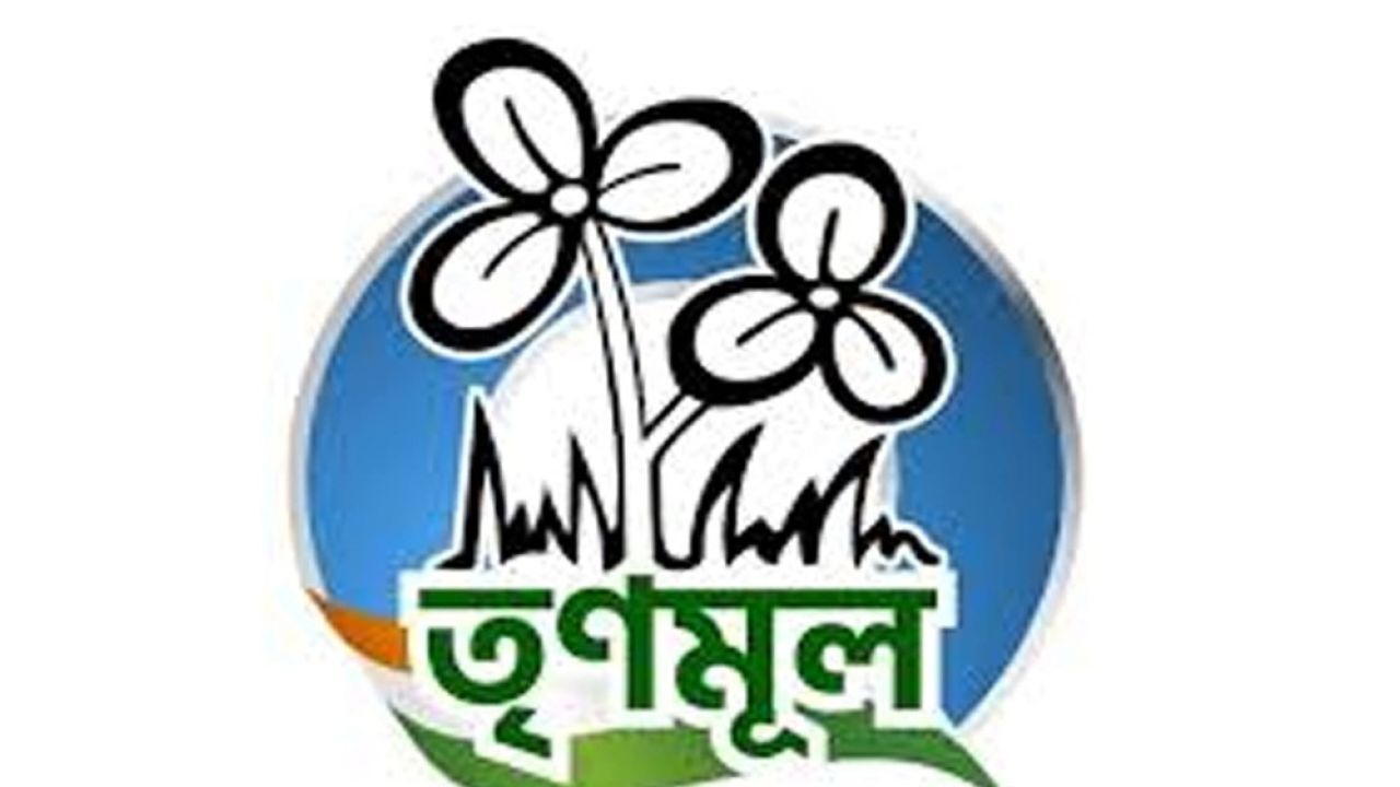  দলীয় সূত্রে বড় ইঙ্গিত! তৃণমূলের ইস্তেহারে কী কী থাকতে পারে