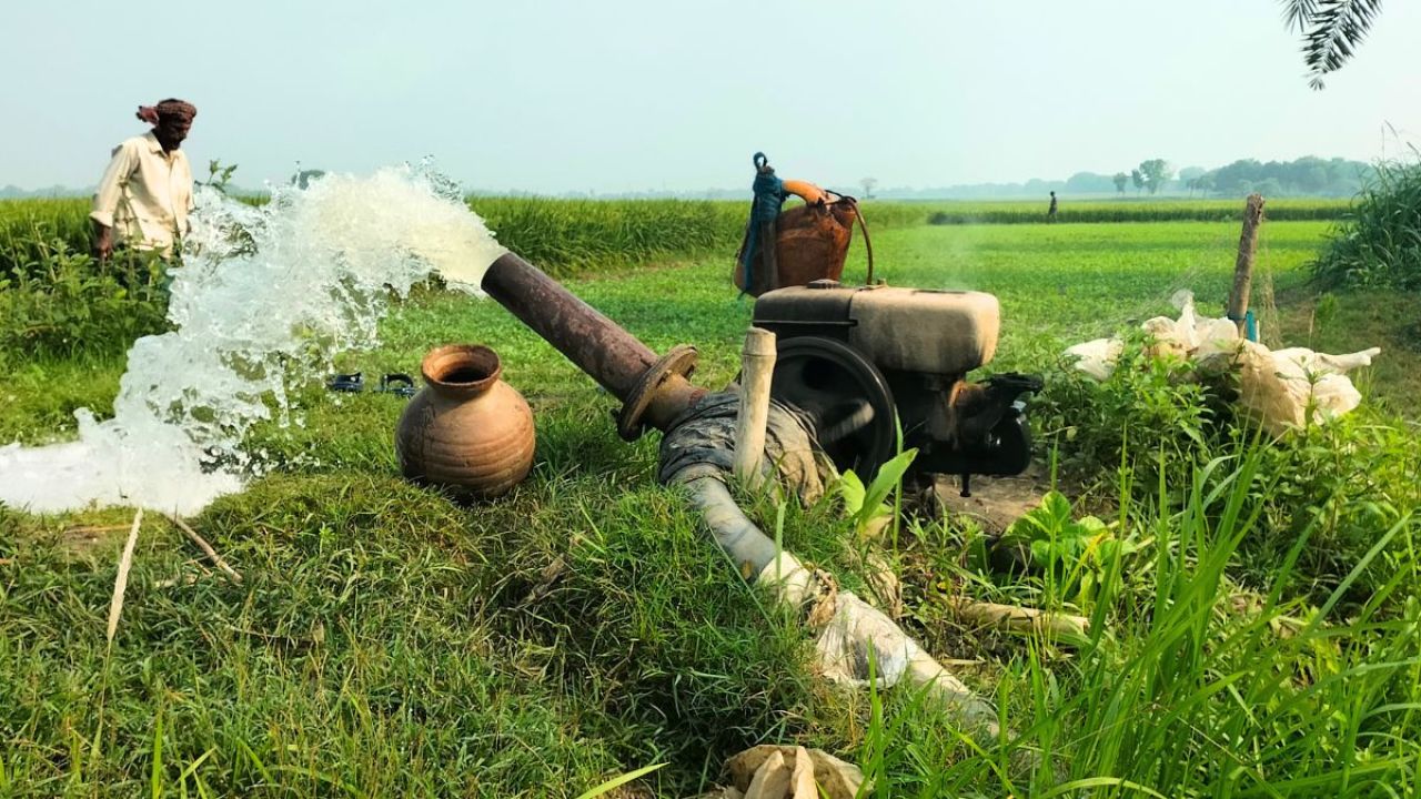 ডিজেল ও বিদ্যুৎ-সংকটে বোরোর বাম্পার ফলন নিয়ে শঙ্কা