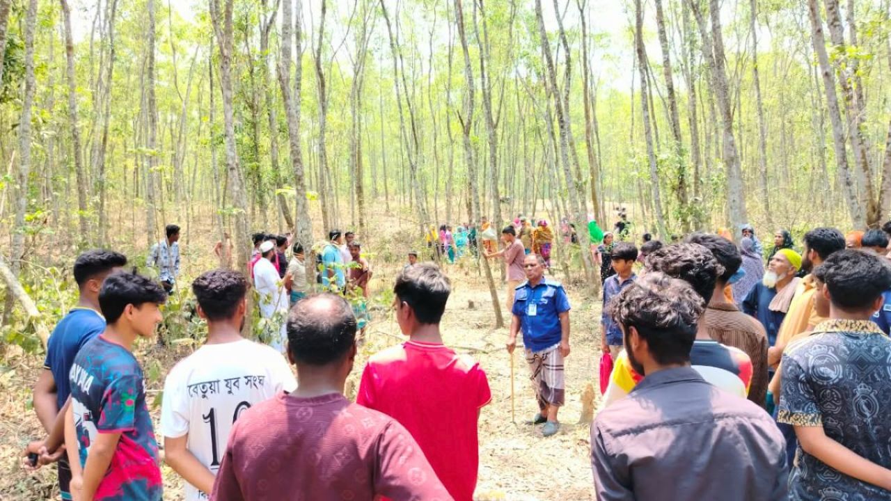সখীপুরে সংরক্ষিত বনে গাছ কাটতে গিয়ে প্রাণ গেল যুবকের