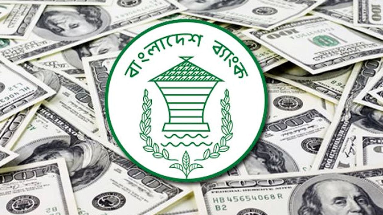 ১২ দিনেই দেশে এলো সাড়ে ১৭ হাজার কোটি টাকা