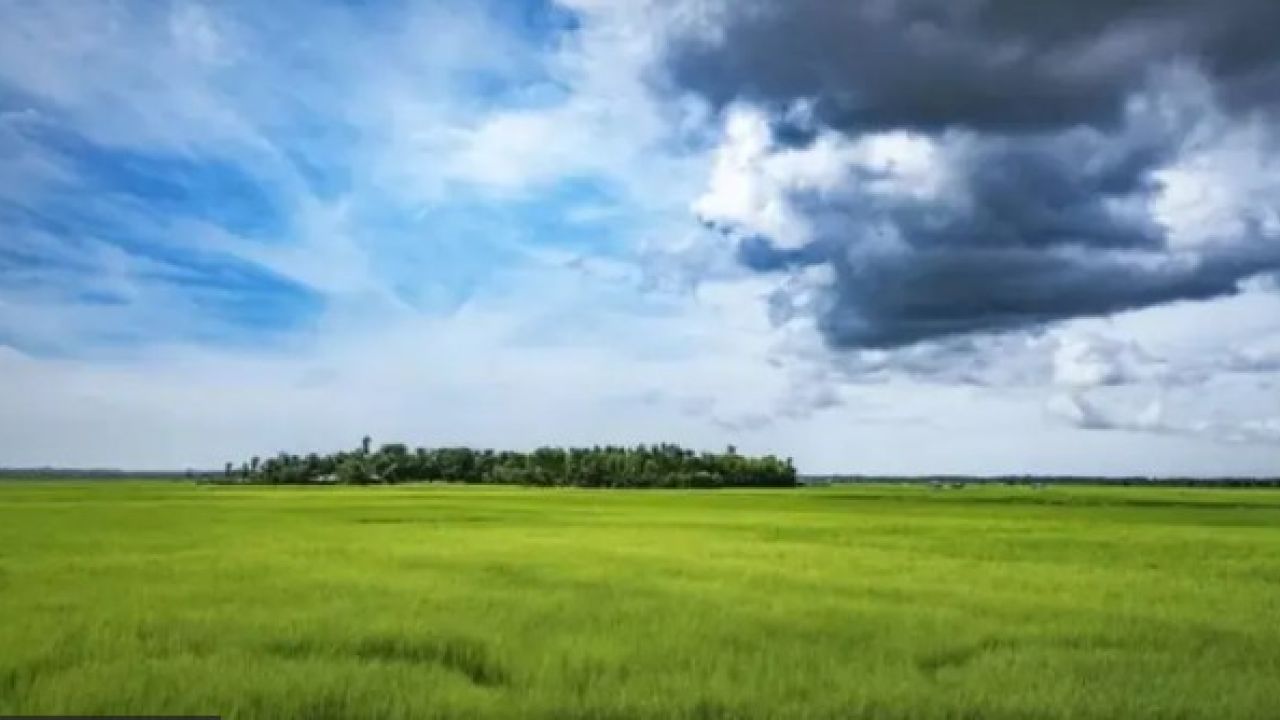 ঝড়-ঢলের শঙ্কায় হাওরের বোরো চাষিরা