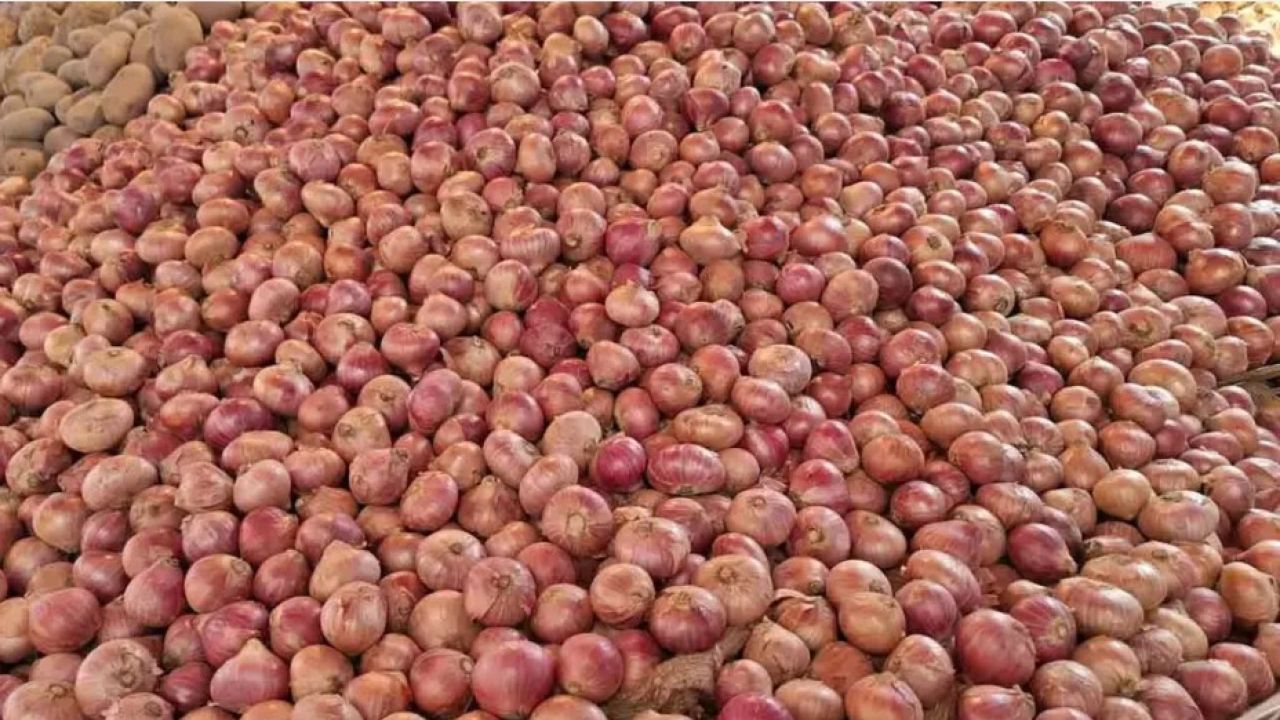 সংরক্ষণের অভাবে সারাদেশে নষ্ট হচ্ছে ২৫-৩০ শতাংশ পেঁয়াজ