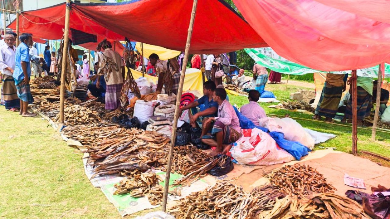 ঐতিহ্যের টানে নাসিরনগরে শুঁটকি প্রেমীদের ভিড়