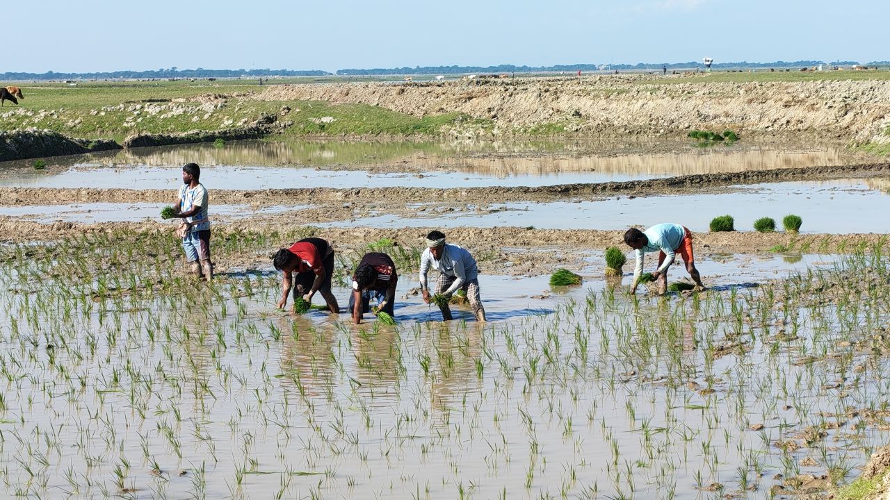 হাওরাঞ্চলে বজ্র নিরোধক ব্যবস্থা গ্রহণ জরুরি