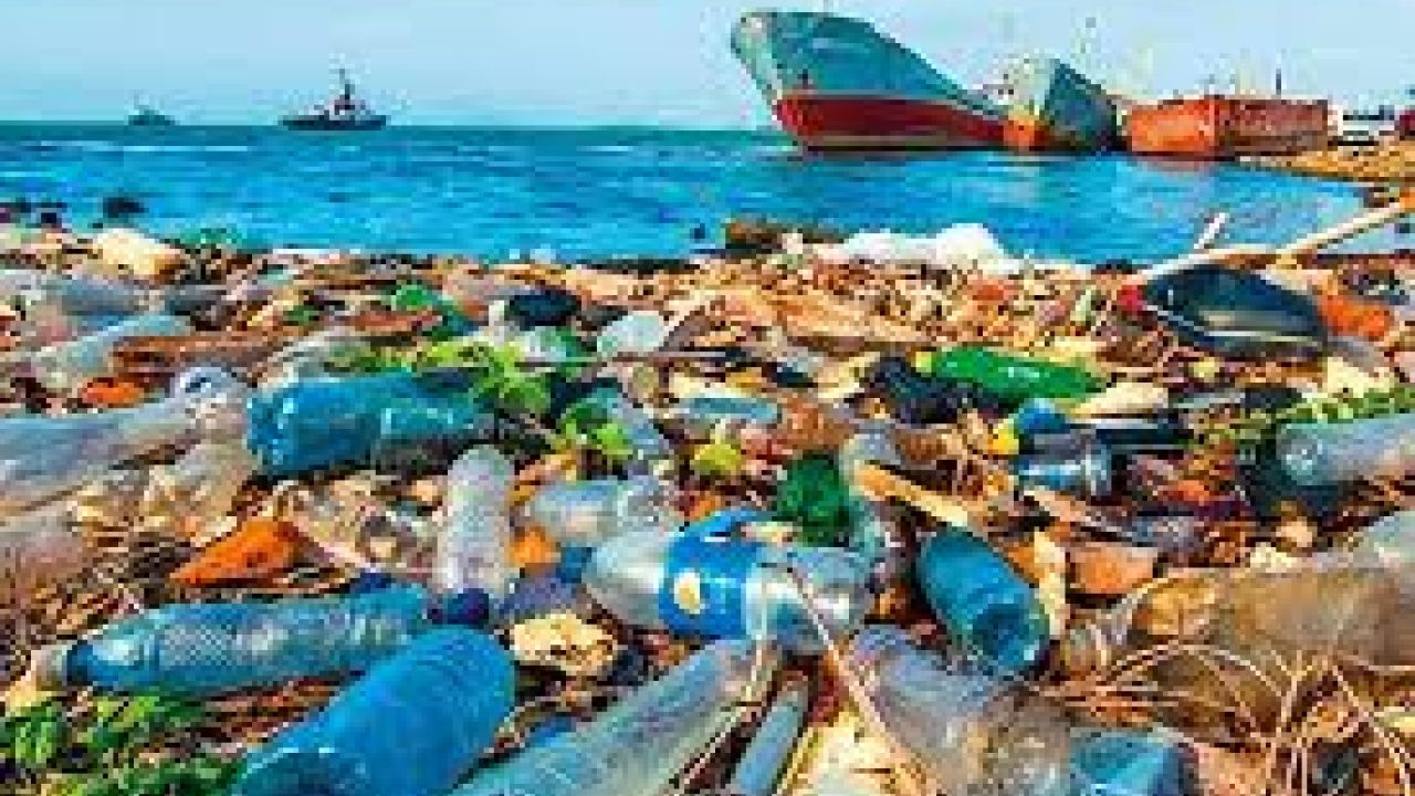 পৃথিবী বাঁচানোর লড়াইয়ে অণুজীব