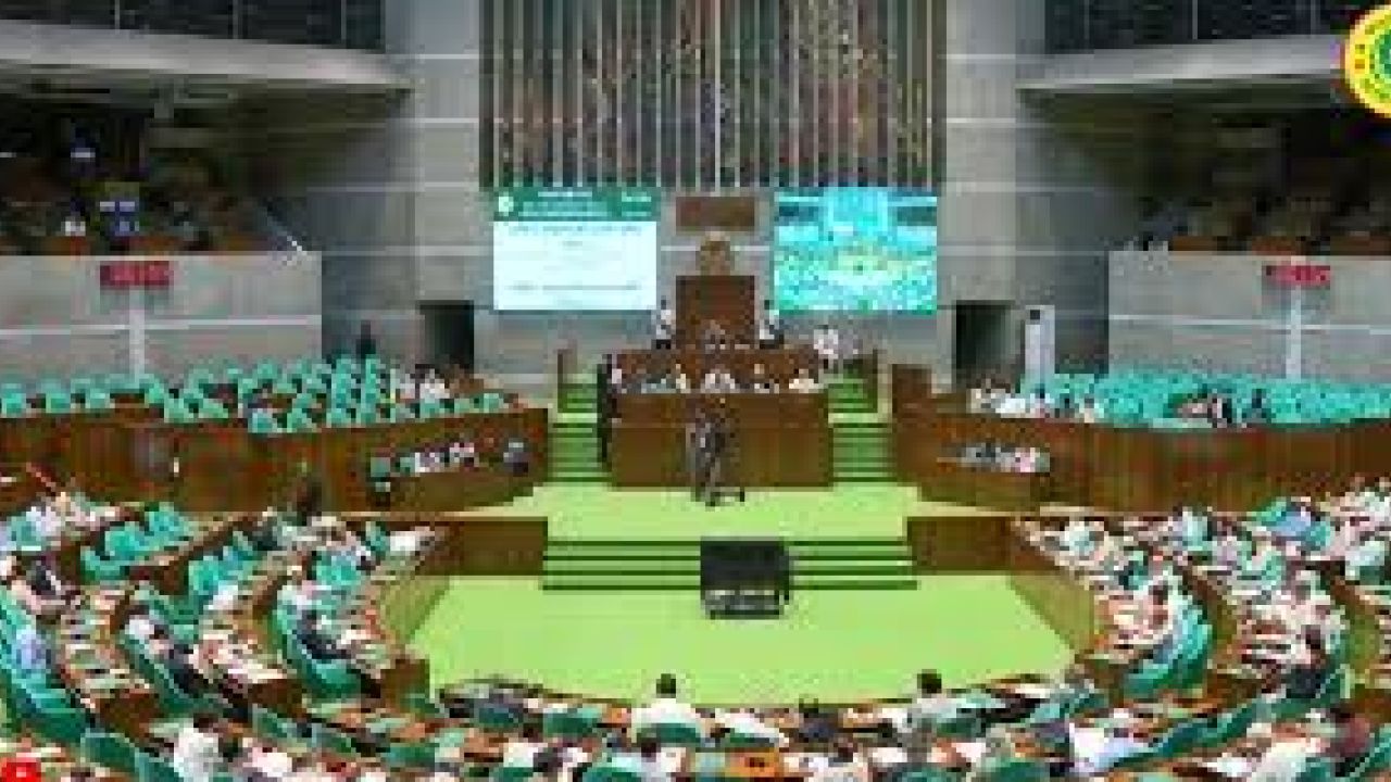 রুমিনের বক্তব্য চলাকালে সরকারি এমপিদের ‘অঙ্গভঙ্গি’, সংসদে নিন্দা জামায়াত আমিরের