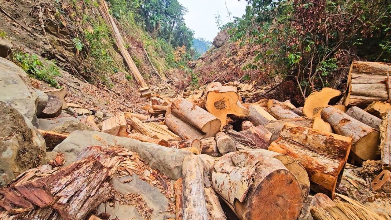 বান্দরবানে বনখেকোদের থাবায় ২০০ একর প্রাকৃতিক বনভূমি বিলীন