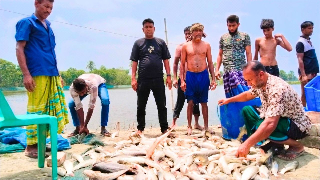 মাছের সঙ্গে এ কেমন শত্রুতা!