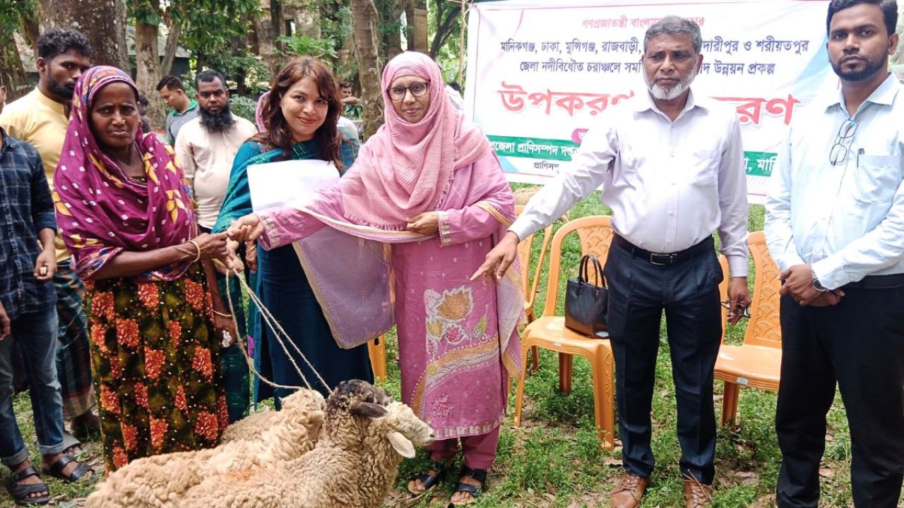 সাটুরিয়ায় চরের মানুষের ভাগ্যবদলে ভেড়া বিতরণ