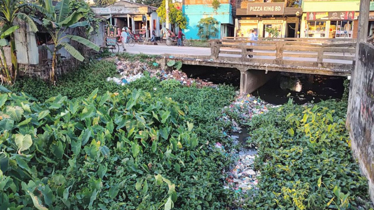 দখলে-দূষণে চুনারুঘাটের চন্দনা খাল এখন ময়লার ভাগাড়