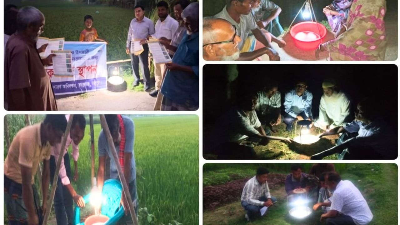 আলোক ফাঁদে কুপোকাত ক্ষতিকর পোকা